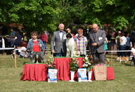 CAC Dog Show Zalaegerszeg (H) - 1st day
