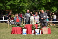 CAC Dog Show Zalaegerszeg (H) - 1st day