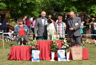 CAC Dog Show Zalaegerszeg (H) - 1st day
