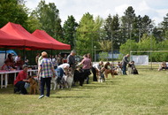 -12. CAC Dog Show Zalaegerszeg (H) - 