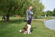 -12. CAC Dog Show Zalaegerszeg (H) - 