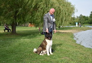 -12. CAC Dog Show Zalaegerszeg (H) - 