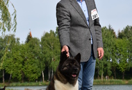 -12. CAC Dog Show Zalaegerszeg (H) - 