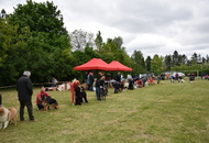 CAC Dog Show Zalaegerszeg (H) - 2nd day
