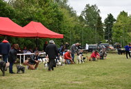 CAC Dog Show Zalaegerszeg (H) - 2nd day