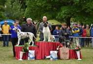 CAC Dog Show Zalaegerszeg (H) - 2nd day