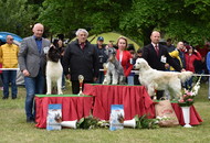 -12. CAC Dog Show Zalaegerszeg (H) - 