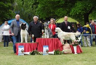 -12. CAC Dog Show Zalaegerszeg (H) - 