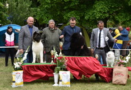 -12. CAC Dog Show Zalaegerszeg (H) - 