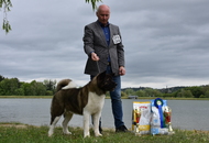 -12. CAC Dog Show Zalaegerszeg (H) - 