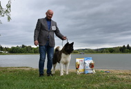 -12. CAC Dog Show Zalaegerszeg (H) - 