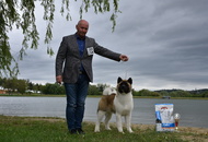 CAC Dog Show Zalaegerszeg (H) - 2nd day