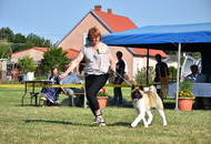 CAC Dog Show PM - Szombathely (H)