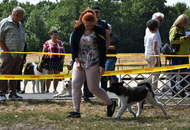 Sárvár CACIB DOG SHOW II. (H) 
