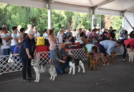 Sárvár CACIB DOG SHOW II. (H) 