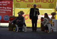 Sárvár CACIB DOG SHOW II. (H) 