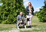 Sárvár CACIB DOG SHOW II. (H) 