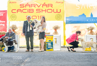 Sárvár CACIB DOG SHOW II. (H) 
