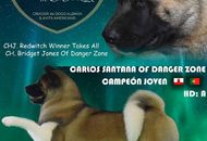 Carlos Santana Of Danger Zone