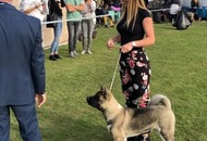 2xCAC Dog Show Kecskemét