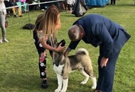 2xCAC Dog Show Kecskemét