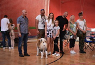 CAC Klub Show Tamási (H)