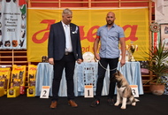 CAC Klub Show Tamási (H)