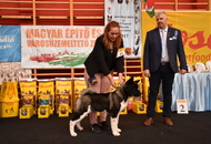 CAC Klub Show Tamási (H)