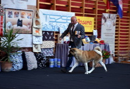 CAC Klub Show Tamási (H)