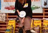 CAC Klub Show Tamási (H)