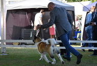 -22. CACIB Karlovac (HR)