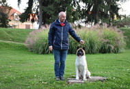 -22. CACIB Karlovac (HR)