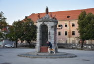 -22. CACIB Karlovac (HR)