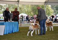 -22. CACIB Karlovac (HR)