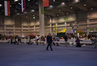 Doppel CACIB Tulln (A)