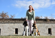 -06. 3 x CACIB Komárom 