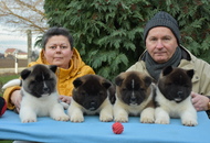 ♣️♦️ Bella & Cronos ♦️♣️ J-Litter