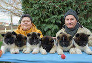 ♣️♦️ Bella & Cronos ♦️♣️ J-Litter