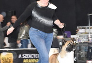FeHoVa WinterDogShow CACIB I. Budapest (H)