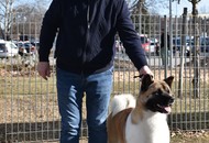 FeHoVa WinterDogShow CACIB I. Budapest (H)