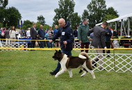 CACIB Dog Show Pápa (H)
