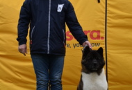 CACIB Dog Show Pápa (H)