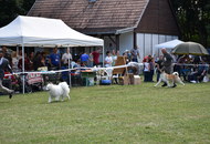 National Hunting Dog Show Kaposvár (H) 