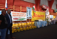 CAC Klub Show Tamási (H)