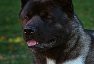 Escobar Of Danger Zone