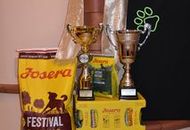 Amerikai Akita és Ősi Típusú Kutyák Egyesülete Special & Klub Dog Show - Tolnanémedi (H), 26.09.2020