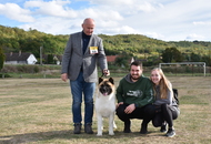 Amerikai Akita és Ősi Típusú Kutyák Egyesülete Special & Klub Dog Show - Tolnanémedi (H), 26.09.2020