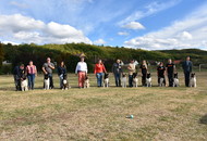 Amerikai Akita és Ősi Típusú Kutyák Egyesülete Special & Klub Dog Show - Tolnanémedi (H), 26.09.2020