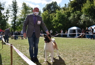 Zalaegerszeg CAC (H)