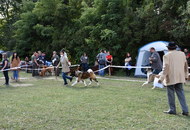 Zalaegerszeg CAC (H)